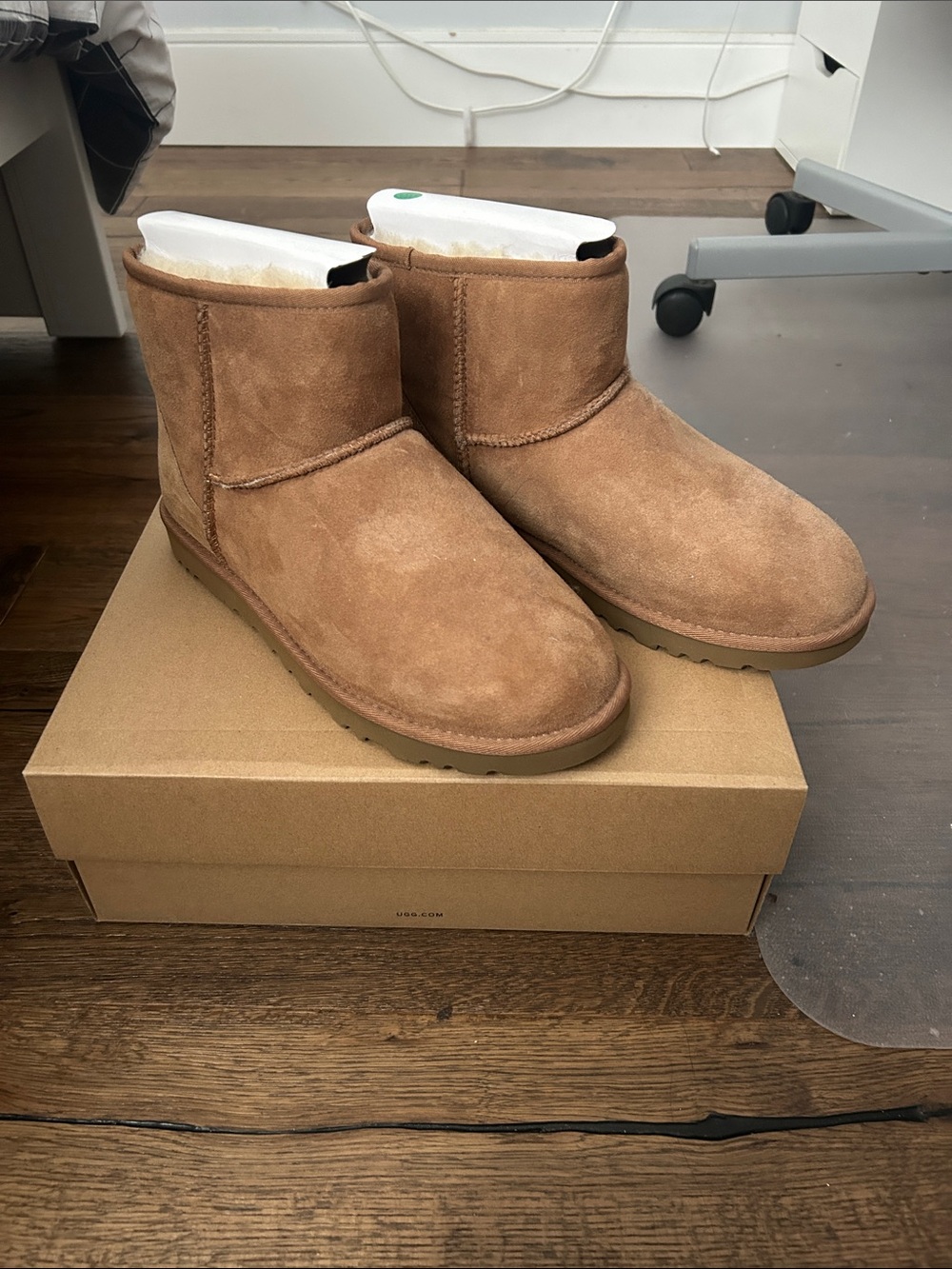 Classic Chestnut Suede women’s UGG mini boot